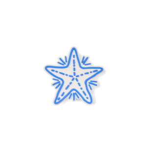Bogg Bit - Blue Starfish